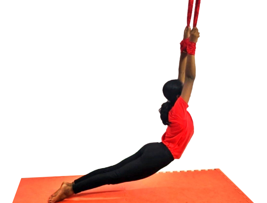Urdhva Mukha Svanasana Hasta